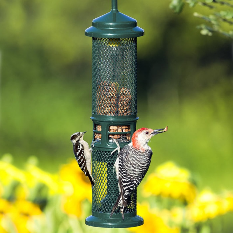 Squirrel Buster Nut Feeder