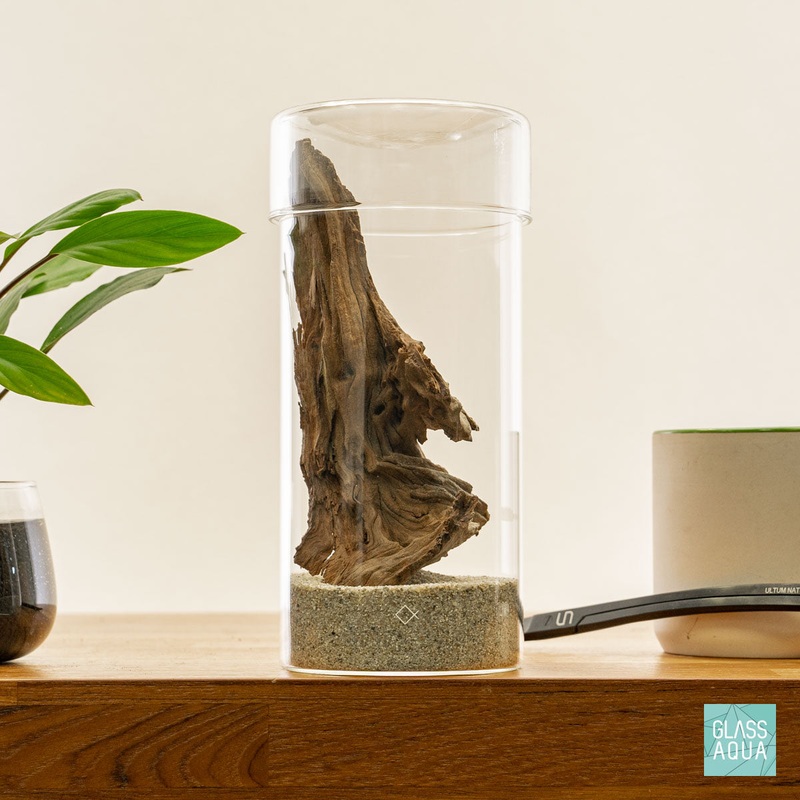 Miniature Terrarium Kit 007
