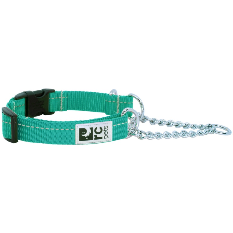 RC PETS Dog Primary Training Clip Collar, Parakeet, XS, 5/8″/ 9.5″ – 11″