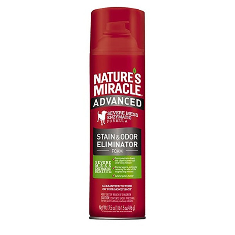 Advanced Stain & Odor Eliminator Foam Cleaning Solution 17.5oz