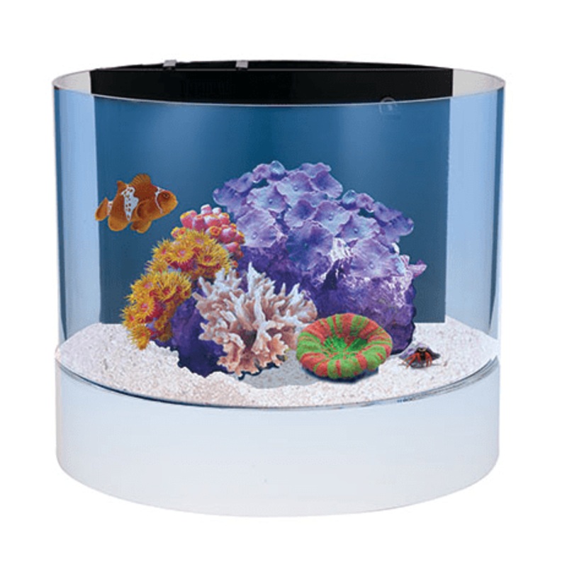 Nuvo Concept Atoll (12 GAL) – Innovative Marine