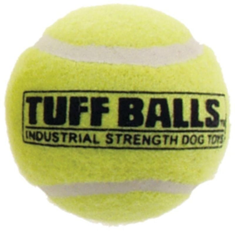 Petsport Tuff Balls 2.5 IN