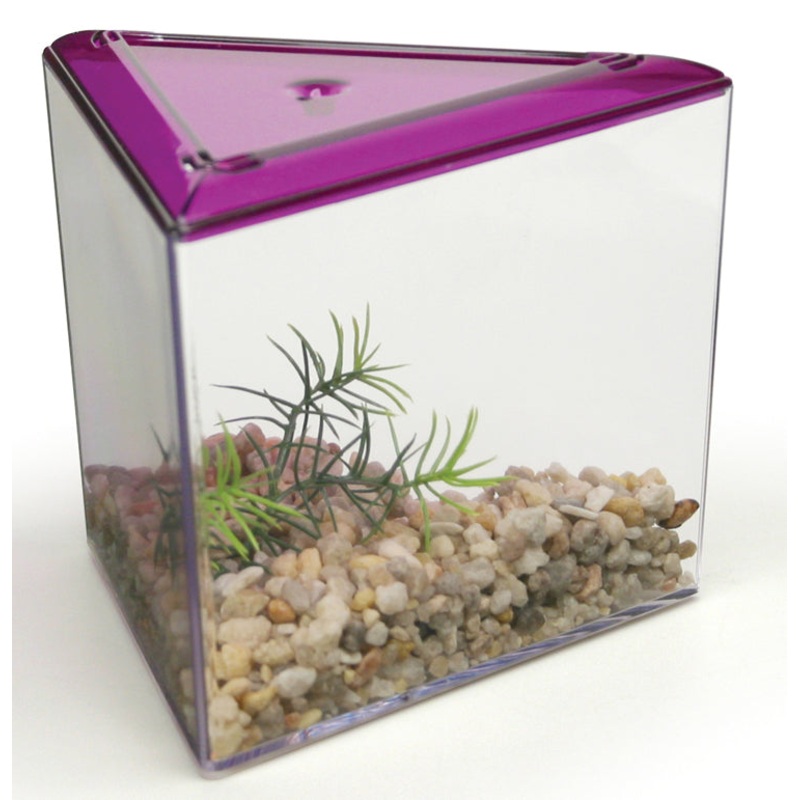 Lee’s Aquarium Triangle Betta Fish Keeper Tank