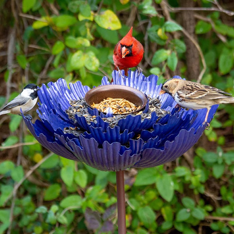 Purple Spider Peony Bird Feeder