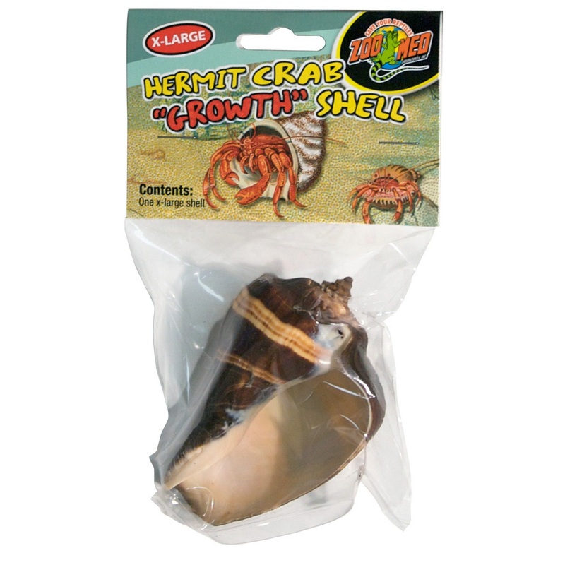 Zoo Med Hermit Crab Growth Shells – 1 Pack Extra Large 1 Pack