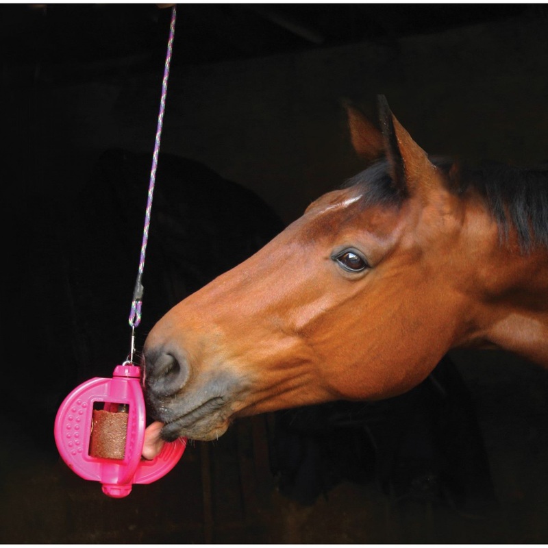 Bizzy Horse Bizzy Ball Pink