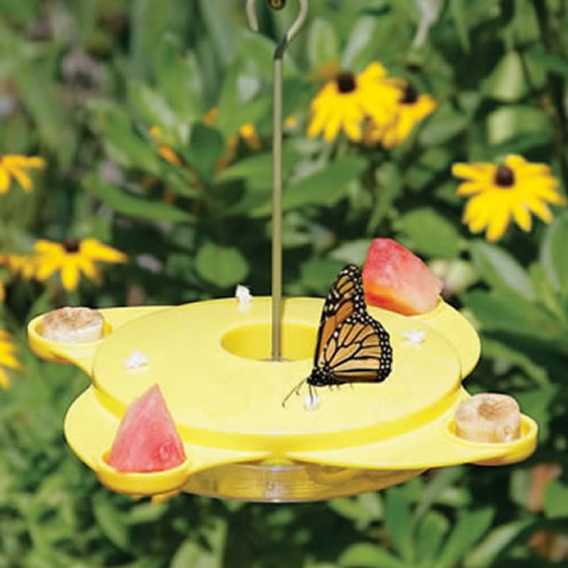 Butterfly Feeder