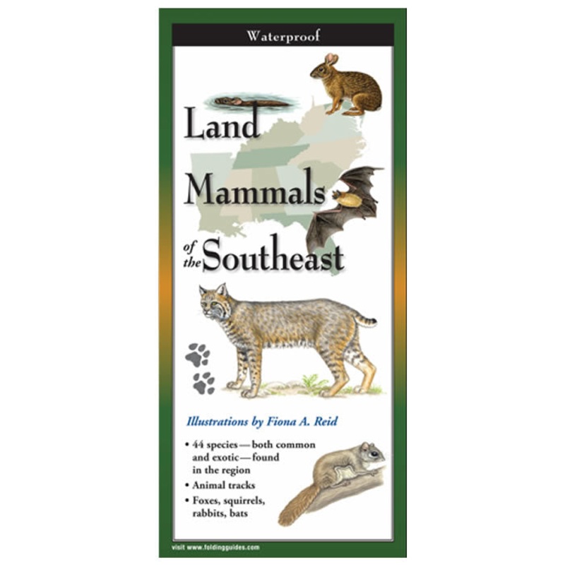 Land Mammals of the Southeast Folding Guide