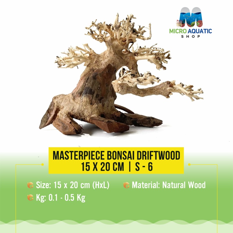 Masterpiece Bonsai Driftwood – 15 x 20 cm | S – 6