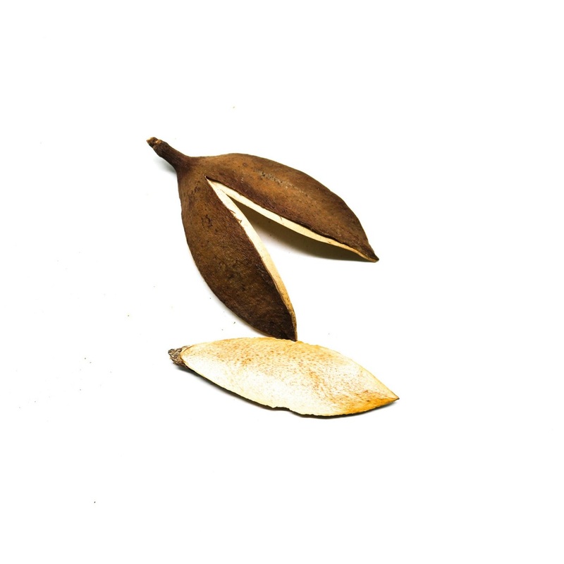 Petal Pods