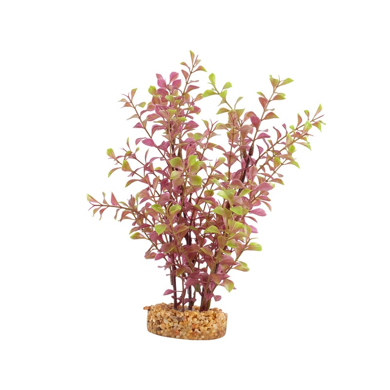 Fluval Red Ludwigia Plant 10 inch