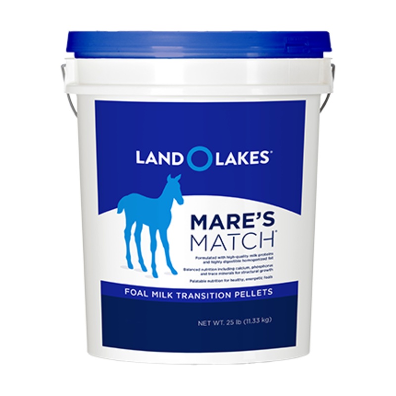 Purina Land O’Lakes Mares Match Foal Milk Replacer Foal Transition Pellet Horse Supplement, 25-lb Pail