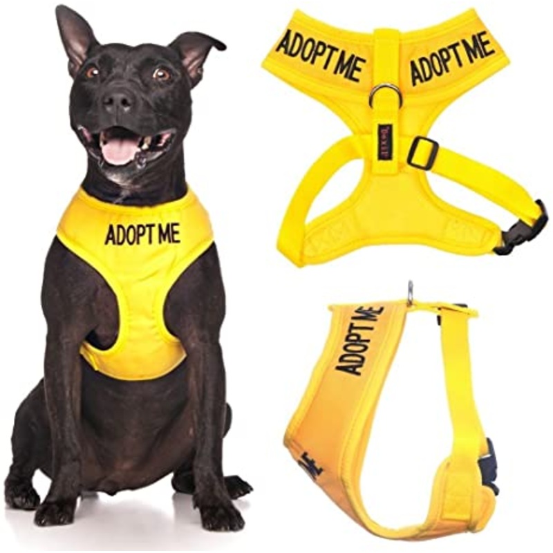 Adopt Me Vest Harness XS