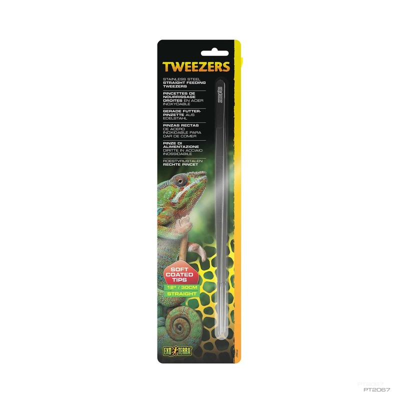 Exo Terra Stainless Steel Straight Feeding Tweezers – 12″