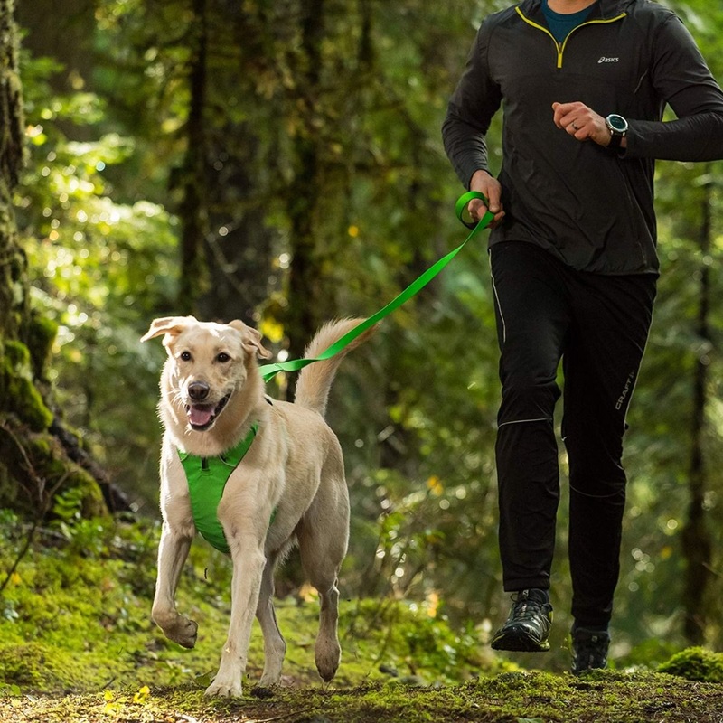 Ruffwear Front Range Dog Leash – Red Canyon