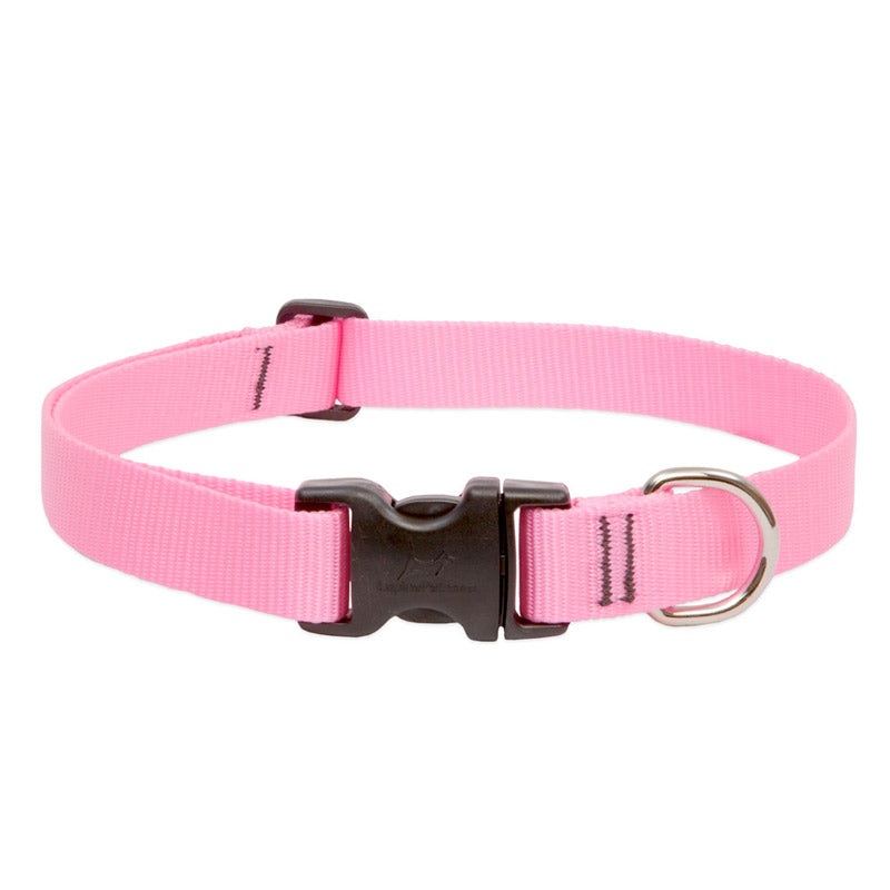 BASICS Adjustable Collar PINK 1 FOR BIG DOGS – 12″-20″