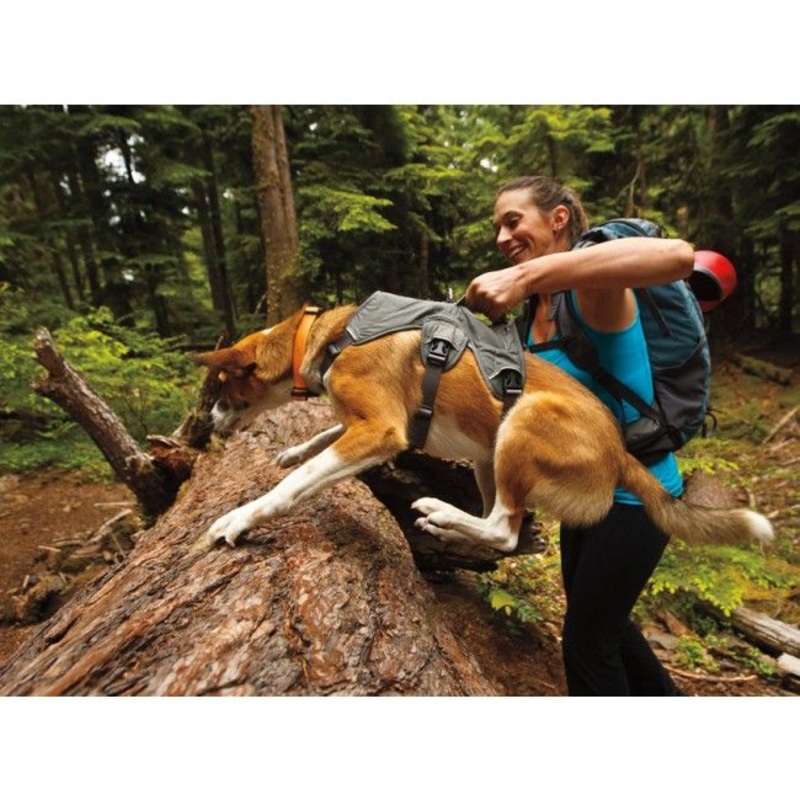 Ruffwear WebMaster Dog Harness – BLUE L/XL