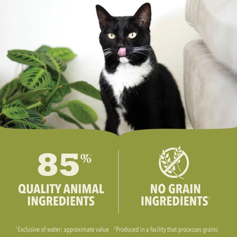 ACANA Premium Pt Tuna & Chicken Recipe Wet Cat Food 3 Oz Single