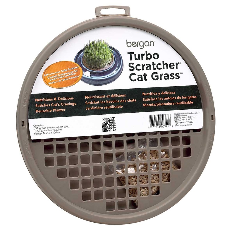 Bergan Turbo Cat Grass Pack of 1