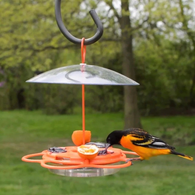 Nature’s Way All-In-One Oriole Buffet Feeder 12 oz Orange