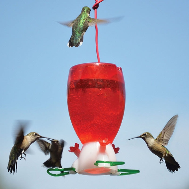 Big Red Hummingbird Feeder
