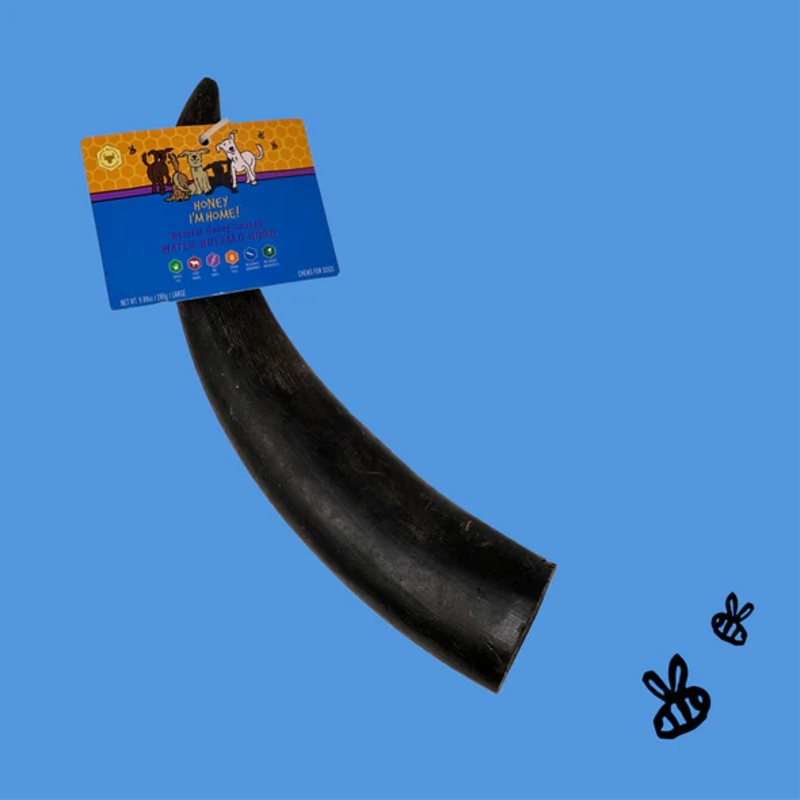 Honey I’m Home! Buffalo Large Horn Dog Treats 1 Piece