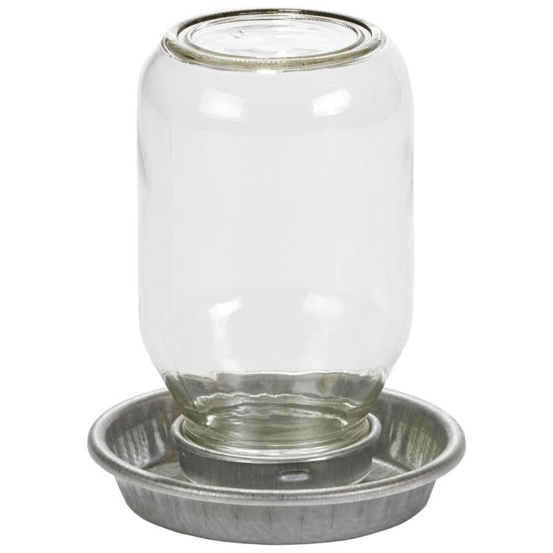 LITTLE GIANT MASON JAR BABY CHICK WATERER W/ JAR 1 QT CLEAR