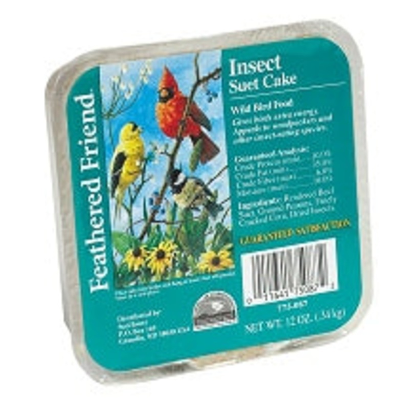 FEATHERED FRIEND SUET INSECT