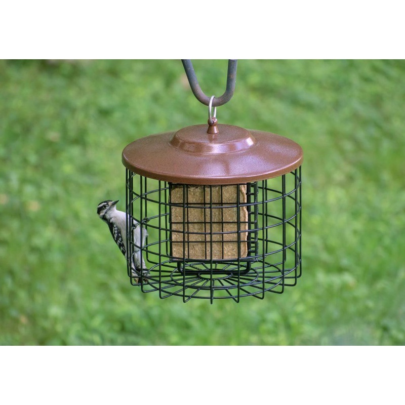 Squirrel-X Double Suet Cage Squirrel-Proof Bird Feeder, 2 suet cake capacity