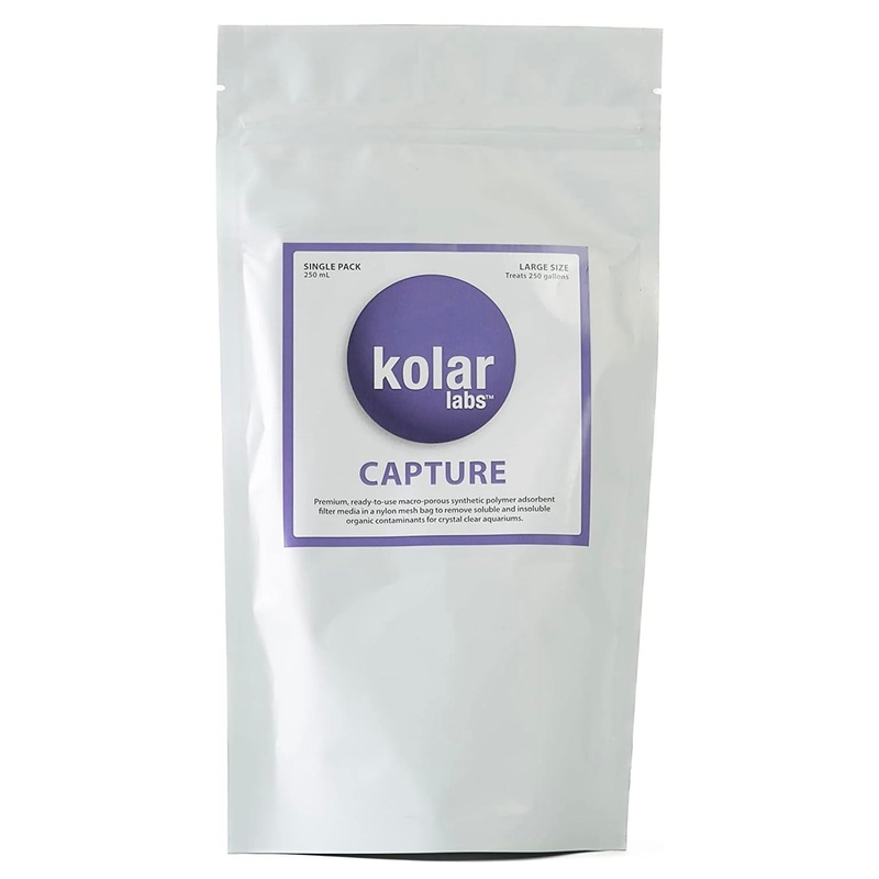 CAPTURE CAPTURE LARGE 1 pack 250mL – MAP Price $18.99