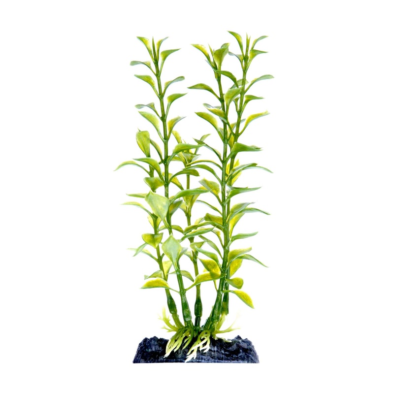 Penn Plax Blooming Ludwigia Green 7 inch