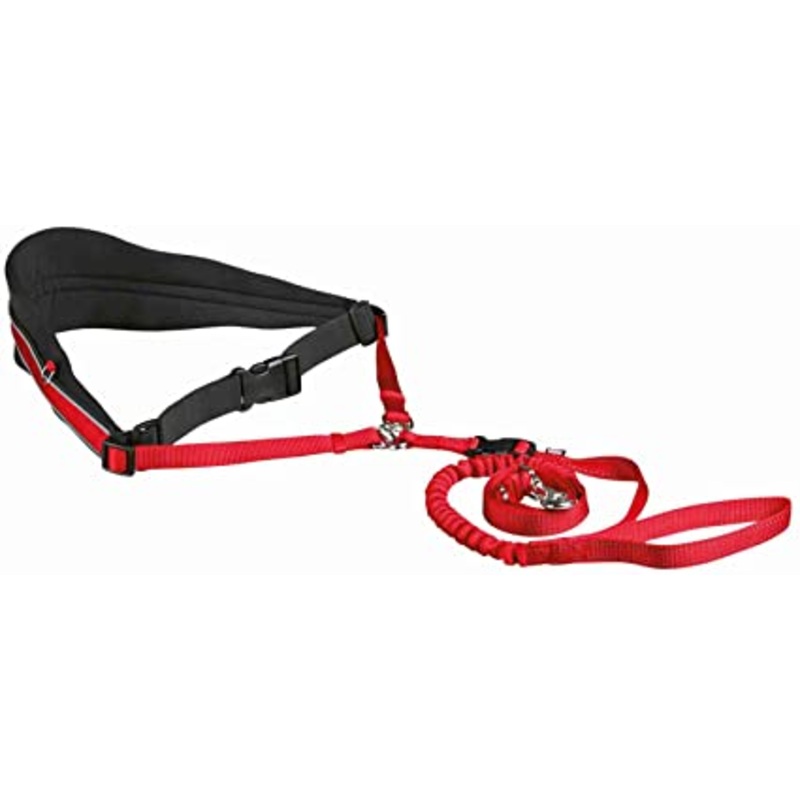 Waist Belt with Leash for Small and Medium-Sized Dogs