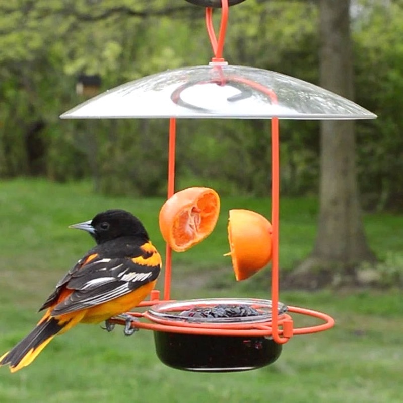 Wire Oriole Feeder