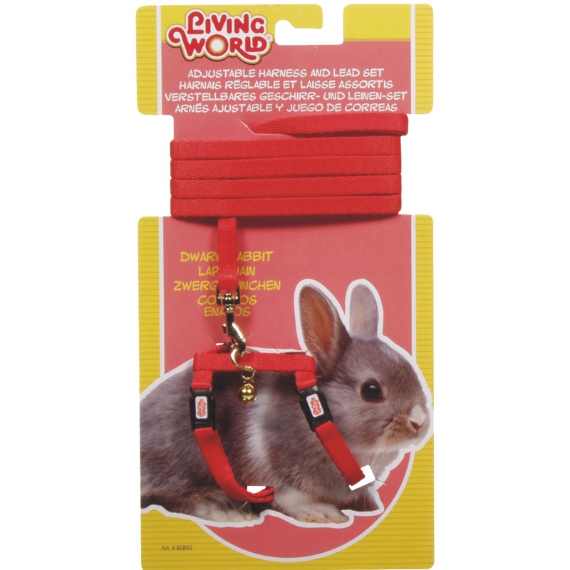 Living World – Dwarf Rabbit Harness & Lead Set (Red) Red