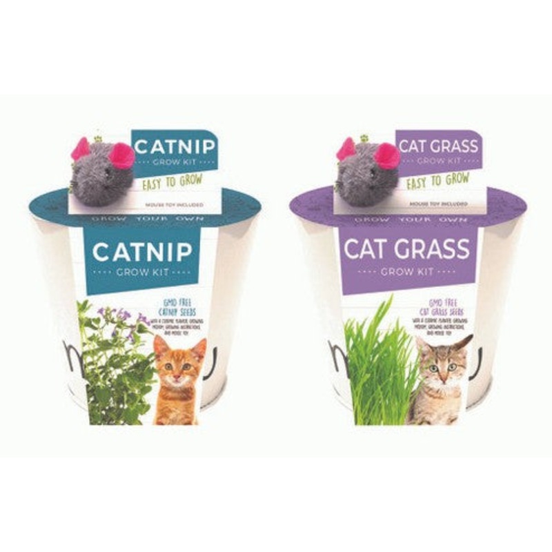 Netherland Bulb Catnip & Cat Grass Grow Kit Kit
