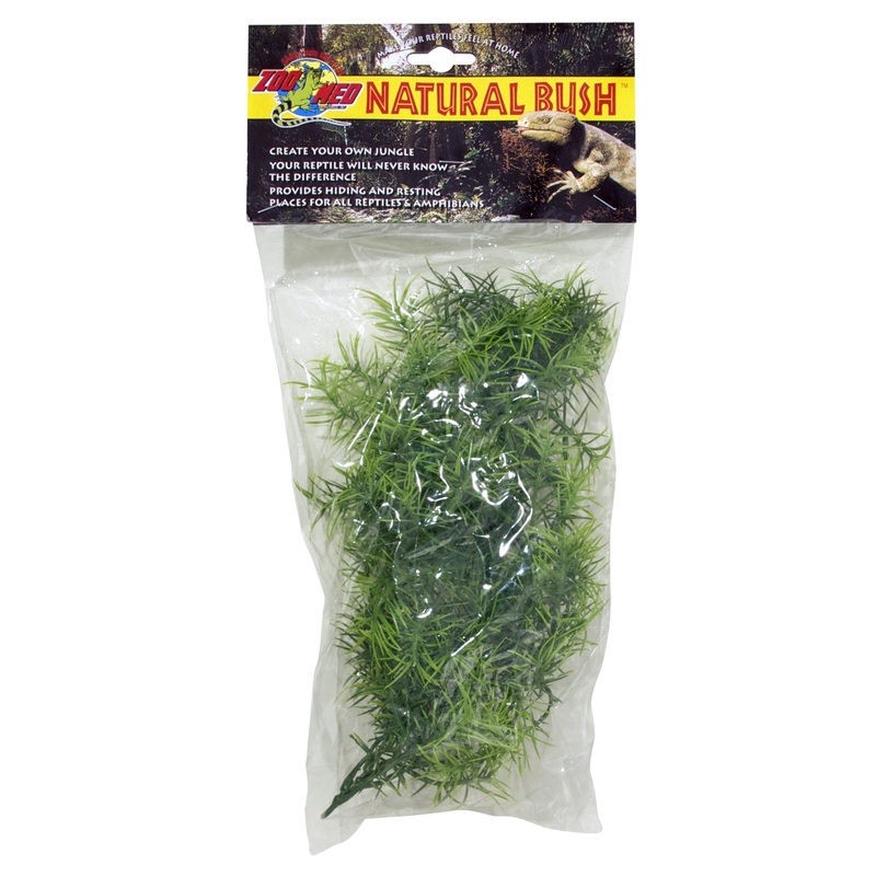Zoo Med Natural Bush Plant Cashuarina Small 14 Inch