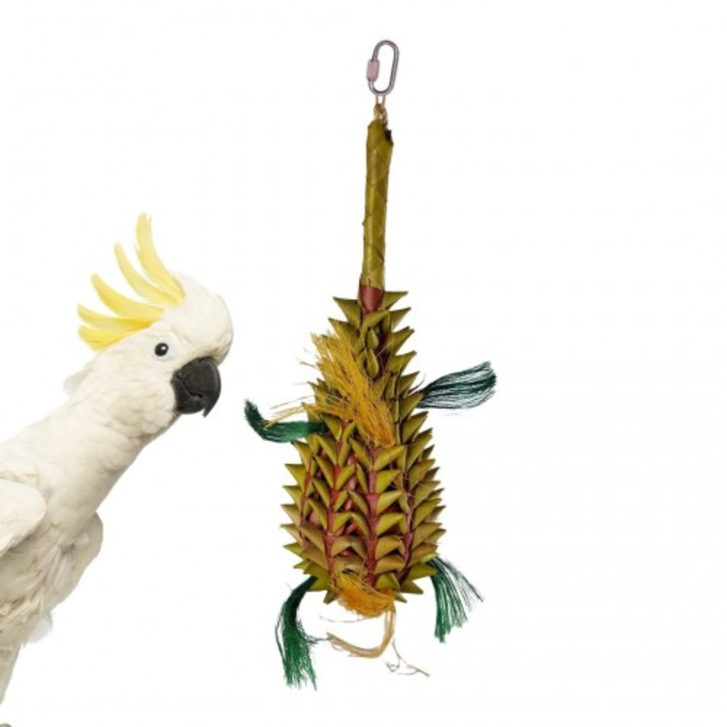 Back Zoo Nature Pineapple (Large)  Natural Foraging Toy for Parrots