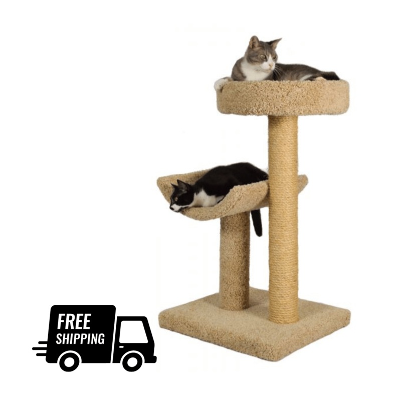Molly and Friends Cat Furniture Simple Sleeper