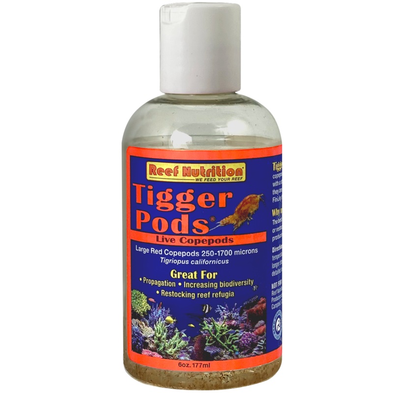 Tigger Pods 6oz