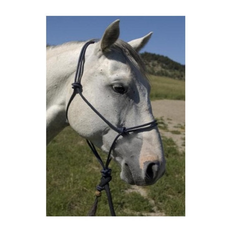 Burwash Natural Horse Rope Halter Foal Black