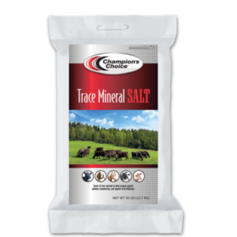 Trace Mineral Salt 50 lb Block