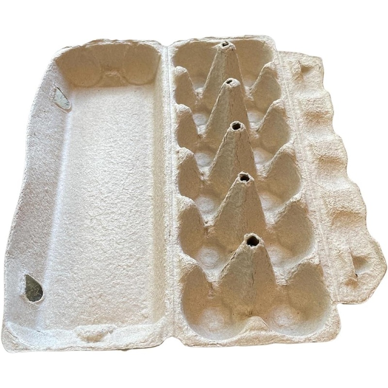 CARDBOARD EGG CARTON