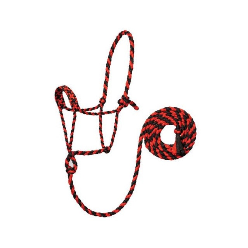 Weaver Braided Rope Halter with 10′ Lead Black/Teal