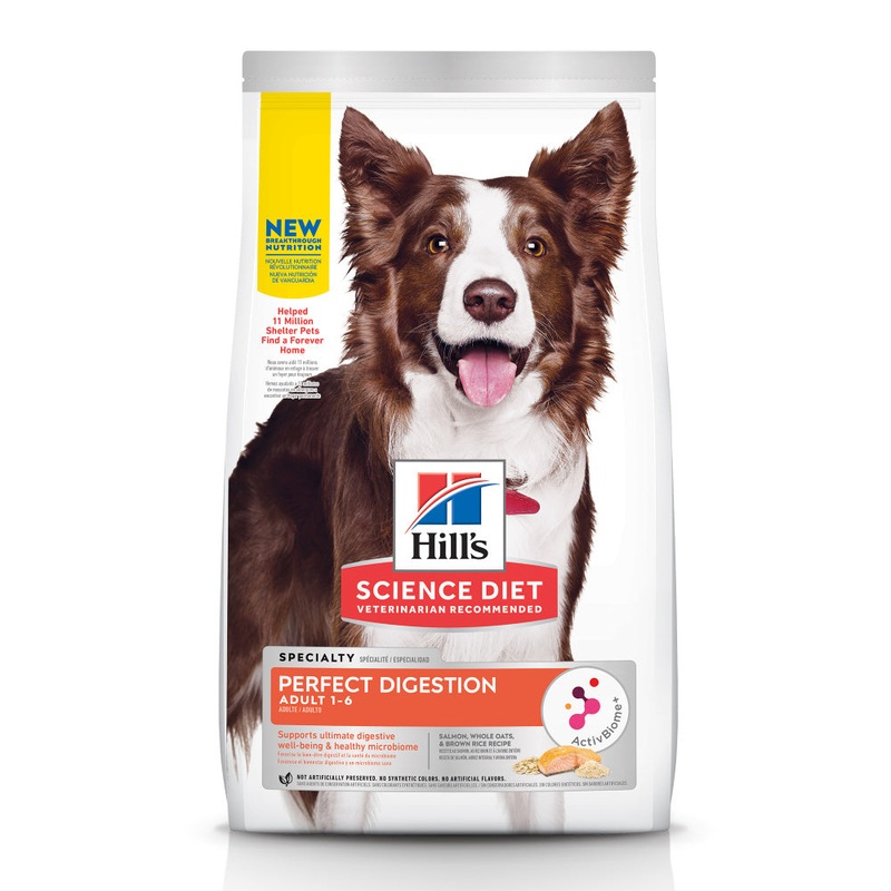 Hill’s Science Diet Adult Perfect Digestion Salmon Dry Dog Food