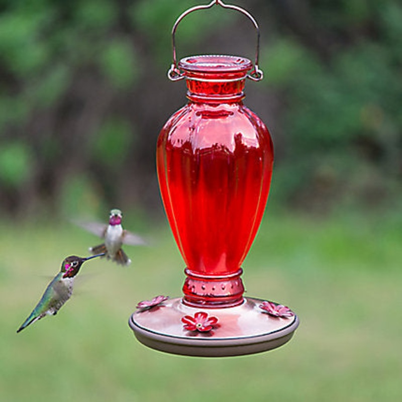 Perky-Pet Daisy Vase Vintage Hummingbird Feeder – 18 oz Nectar Capacity