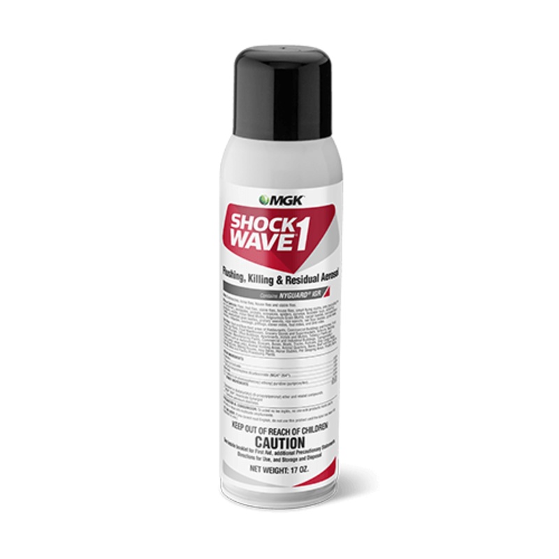 Shock Wave 1 Aerosol 17 oz