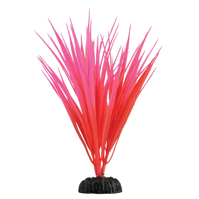 Underwater Treasures Rose Nile Grass 7.5 inch