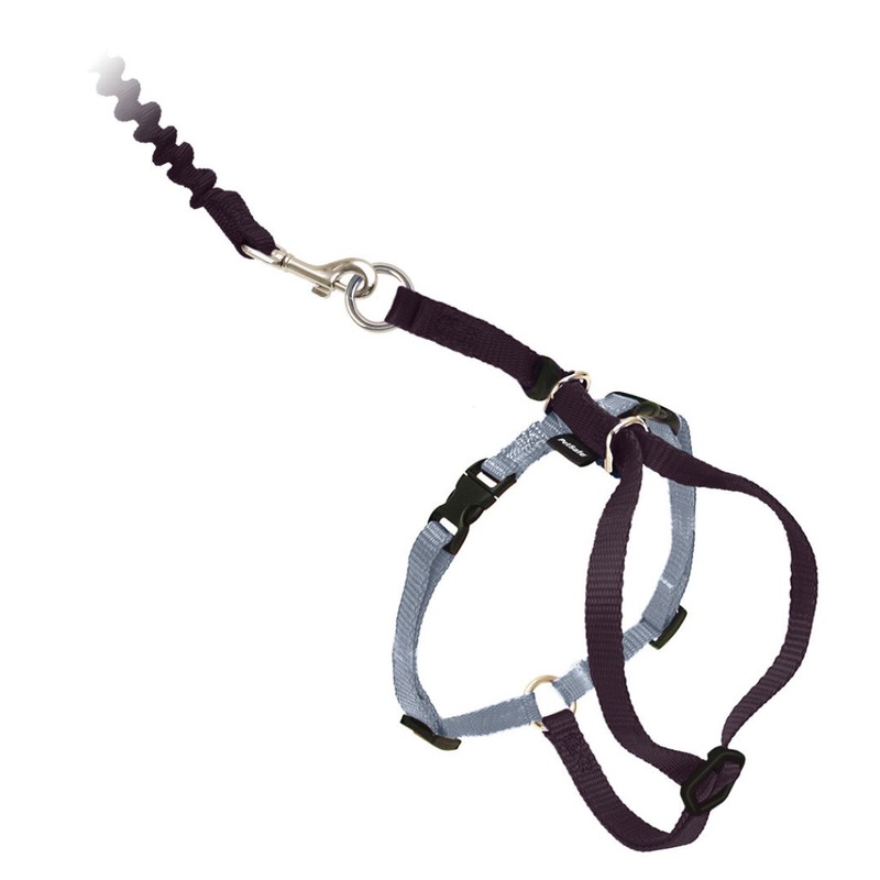 Come With Me Kitty Black Cat Harness & Bungee Leash