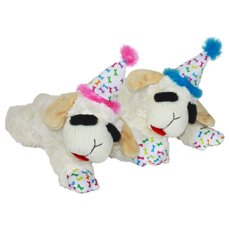 Multipet Lamb Chop w/Birthday Hat Assorted Colors Dog Toy Assorted