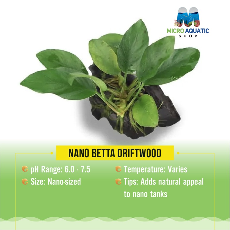 Nano Betta Driftwood